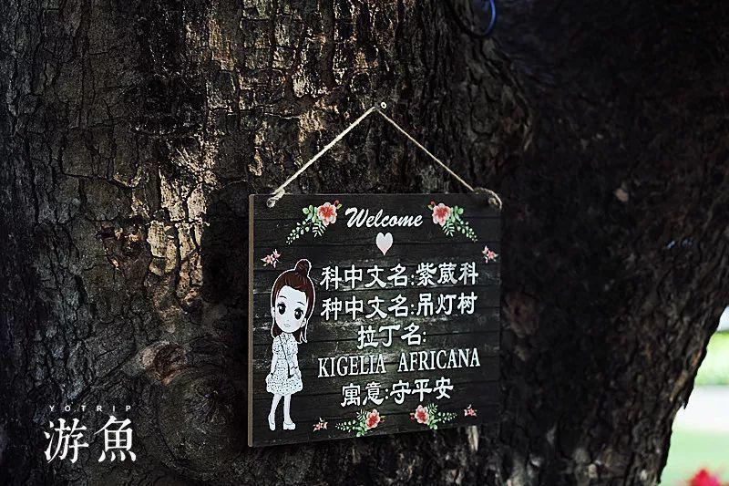 海盗寻宝记