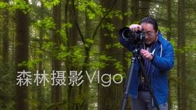 逃离神秘之林