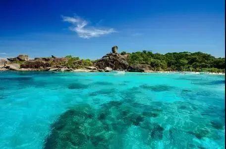 奥莉的夏威夷之旅