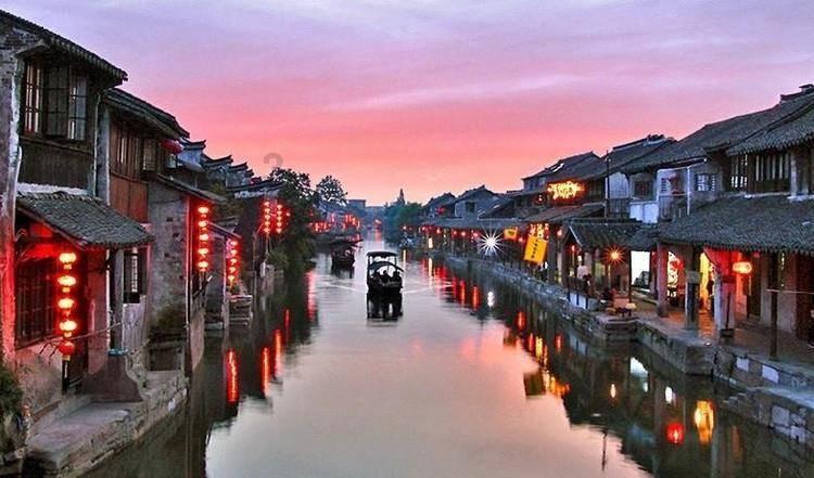 呆萌动物园